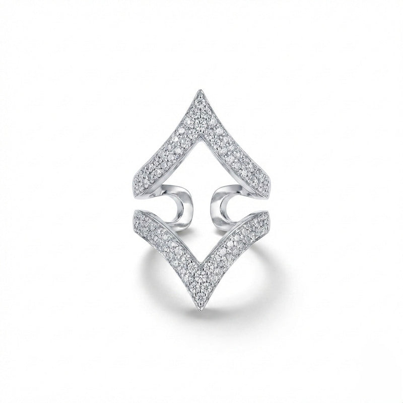 The Palak Splitsvilla Ring